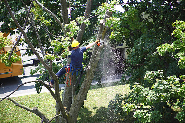 Mulching Services in Middletown, NY